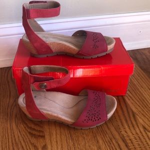 Wedge Sandal. Perfect transition to fall